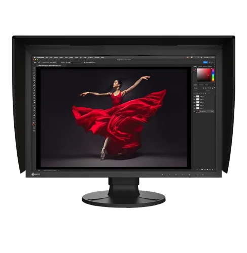 Eizo CG2400S