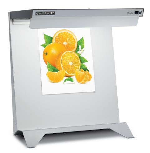 LED 2024 PDV English-3.jpg