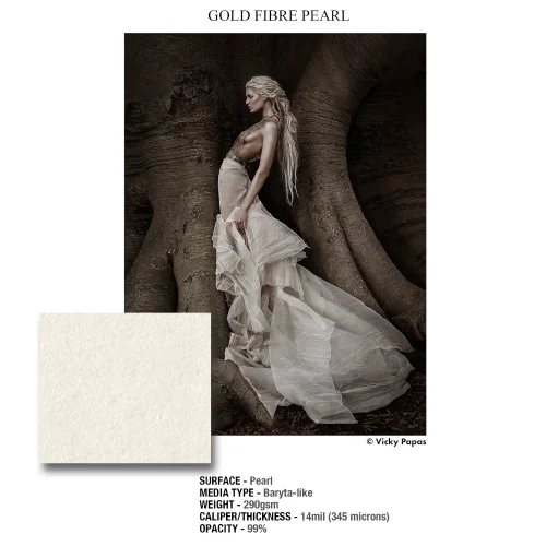 Zbliżenie powierzchni Ilford Galerie Gold Fibre Pearl 290 g/m², papier barytowy Pearl do druku z roli 44 cale, dużych odbitek, fotografii czarno białej i koloru.