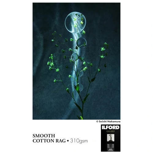 Przykładowy wydruk na Ilford Galerie Smooth Cotton Rag, matowy papier bawełniany Fine Art w roli 44" do dużych fotografii i oprawy.