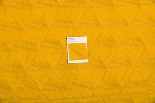 pantone cotton swatch library
