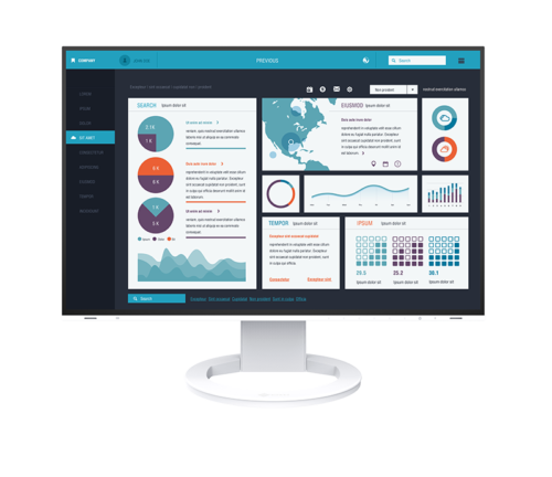Monitor EIZO FlexScan EV2495-WT