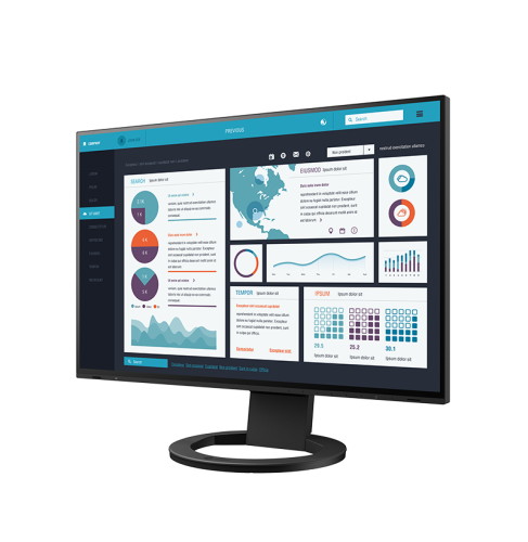 Monitor EIZO FlexScan EV2495-BK