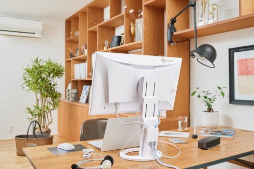 Monitor EIZO FlexScan EV2490