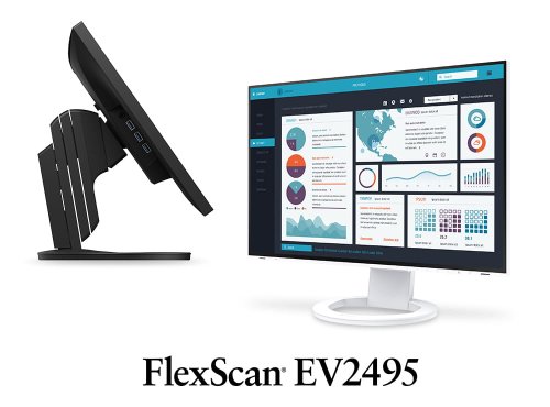 eizo ev2495