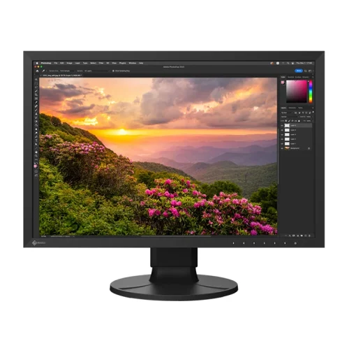 EIZO CS2400S