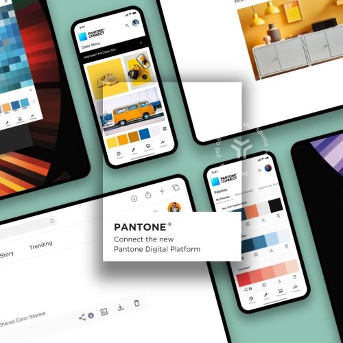 Pantone Connect - licencja indywidualna | 365 dni