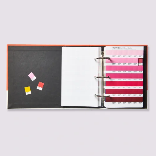 6 odrywanych czipsów na kolor pantone
