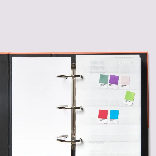zestaw dwóch segregatorów z kolorami solid pantone