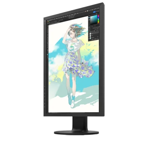Monitor EIZO ColorEdge CS2400r z funkcją pivot