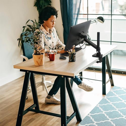 Ergotron NX Desk Monitor Arm