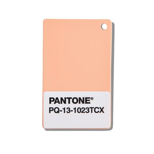 PANTONE Plastics Standard Chip | Kolor Roku 13-1023 Peach Fuzz - próbka plastikowa