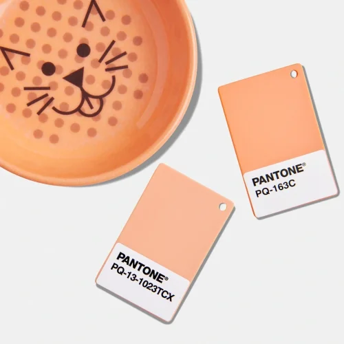 kolor 13-1023 Peach Fuzz na plastiku