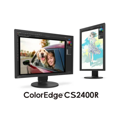 24 calowy profesjonalny monitor z gamutem sRGB