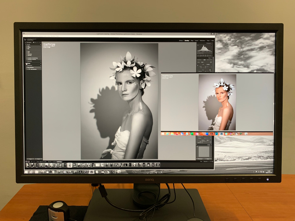 Gamut Duo BenQ SW321C