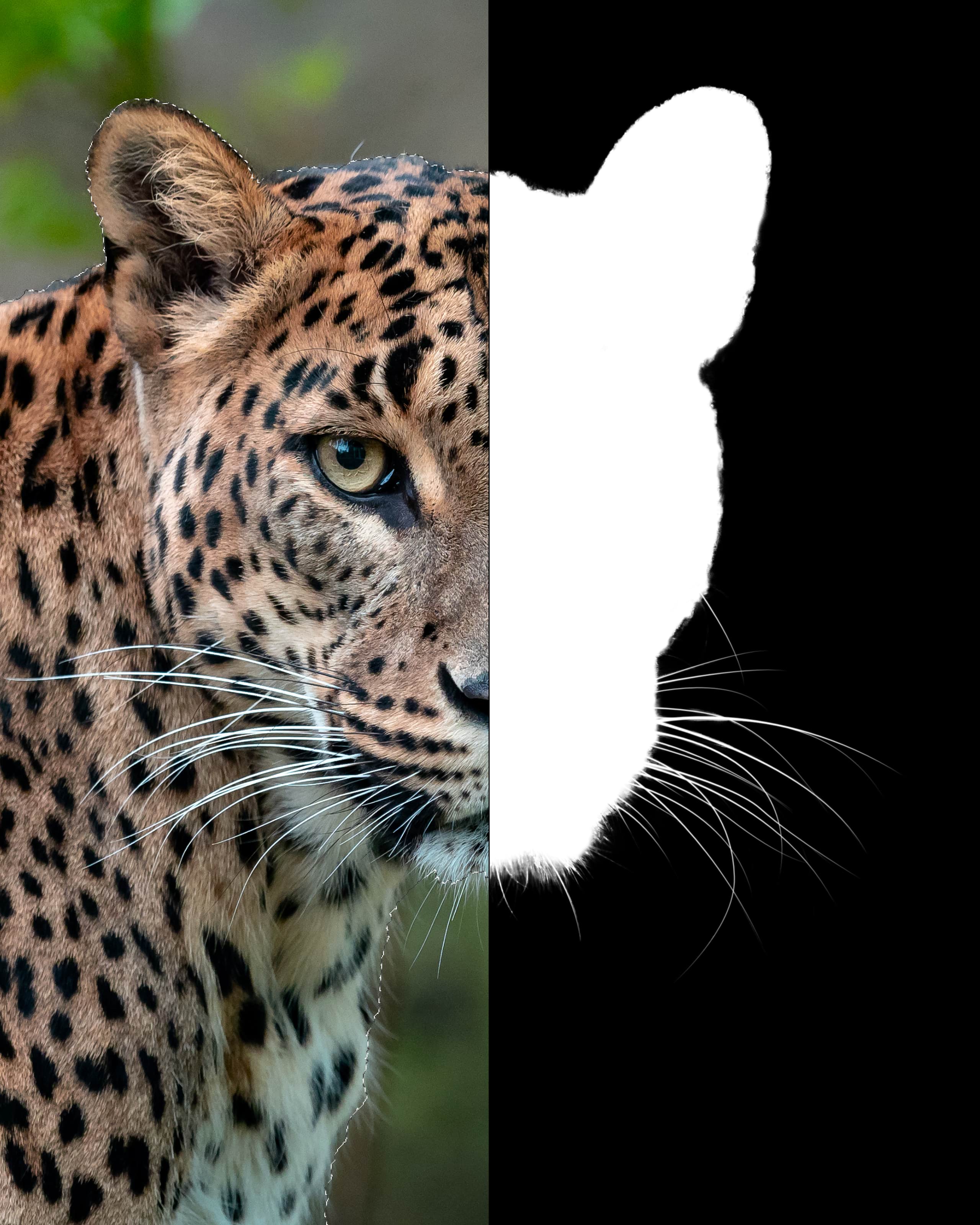 Affinity Photo