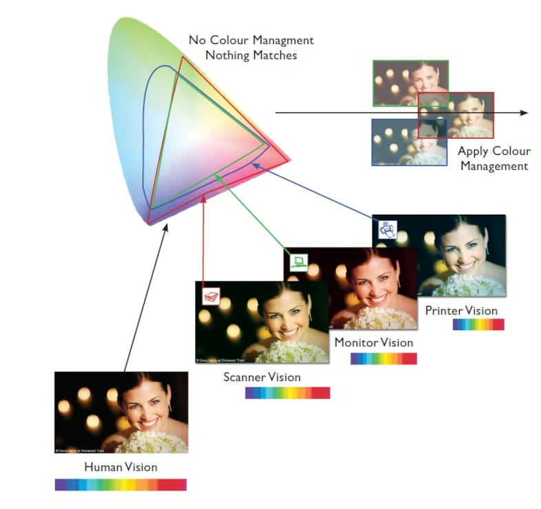 typowy chaos kolorystyczny