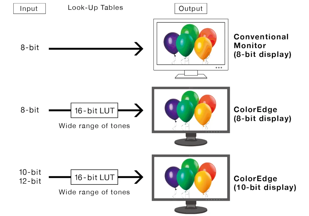 Eizo CG2400S sygnał 10 bit