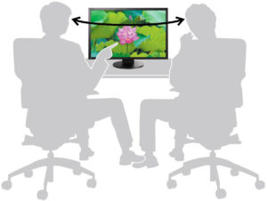 Monitor flexscan ev2457