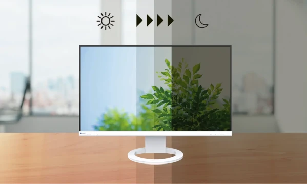 Automatyczne dopasowanie jasności Auto EcoView w monitorze EIZO EV2400R.
