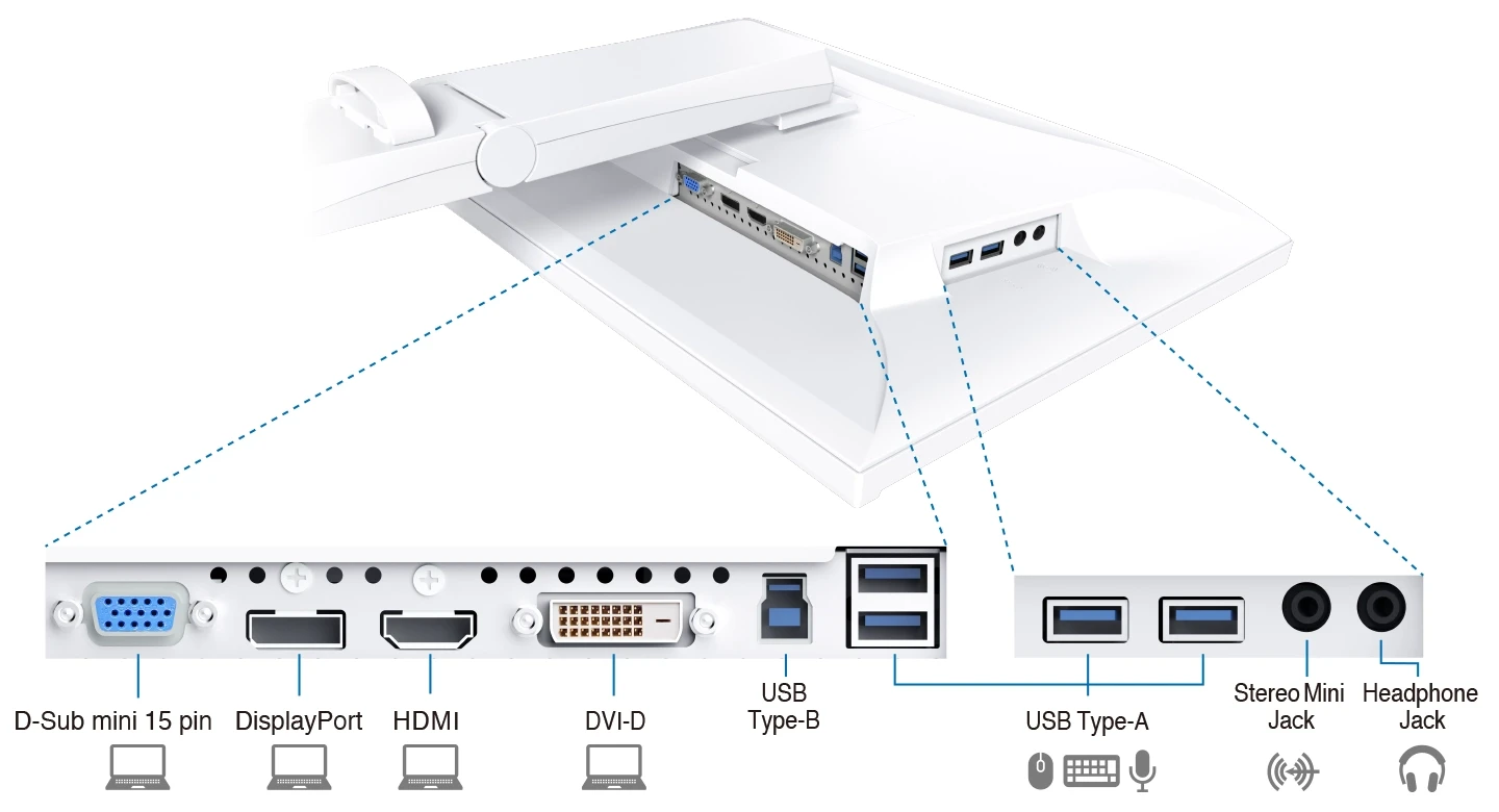 Złącza EIZO EV2410R: D-Sub, DisplayPort, HDMI, DVI-D, USB-B, cztery USB-A i audio.