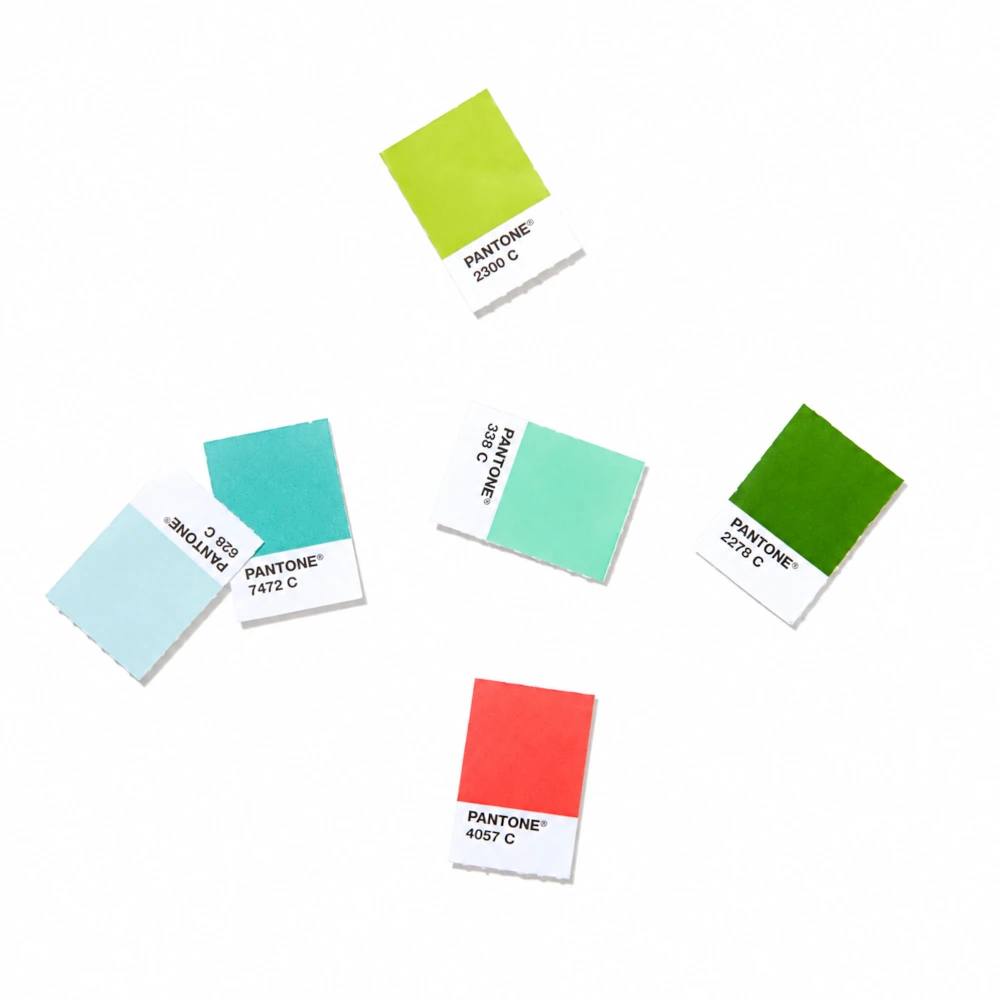 Odrywane próbki Pantone Solid Coated używane do fizycznej komunikacji koloru